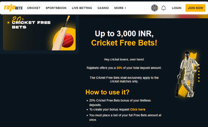 rajabets cricket bonus