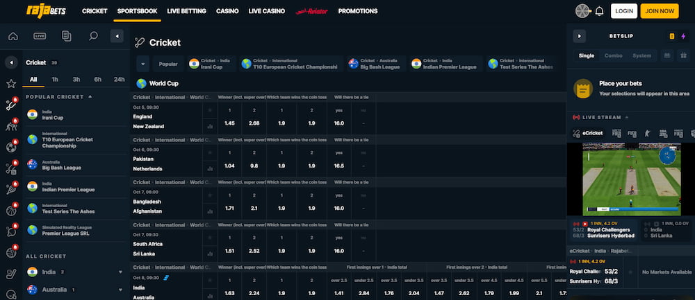 rajabets interface