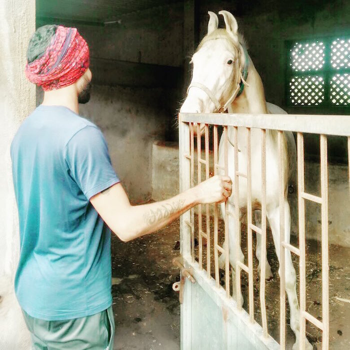 Ravindra Jadeja with his horse