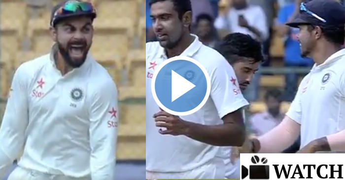 WATCH: The winning moments for Team India in the Bengaluru Test