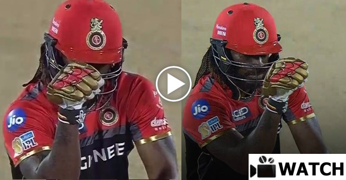 WATCH: Chris Gayle brings out his inner ‘Salt Bae’ after completing his fifty against Gujarat Lions