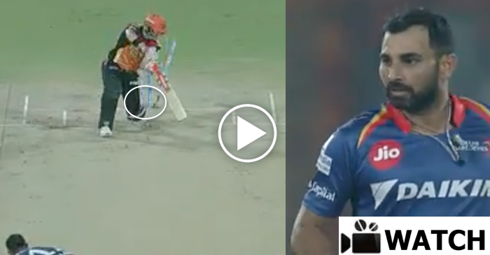 WATCH: Mohammed Shami foxes David Warner with a brilliant yorker