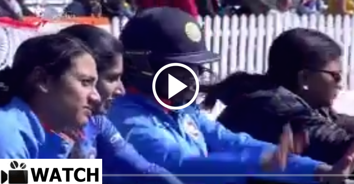 WATCH: Mithali Raj, Veda Krishnamurthy celebrate Harmanpreet Kaur’s epic knock in dance style