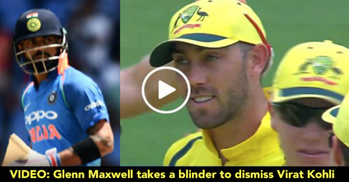 VIDEO: Glenn Maxwell takes a blinder to dismiss Virat Kohli in the Chennai ODI