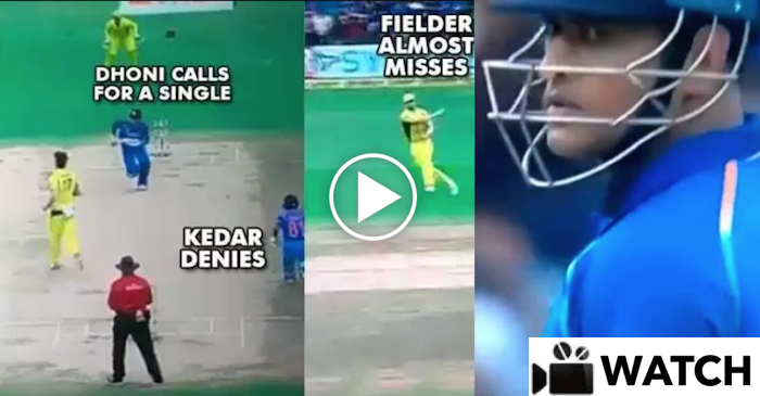 WATCH: MS Dhoni gives an angry stare to Kedar Jadhav after awful mix-up