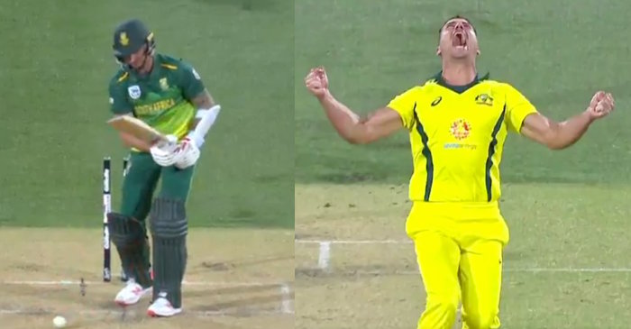 WATCH: Marcus Stoinis does the impersonation of ‘THE HULK’ after dismissing Dale Steyn