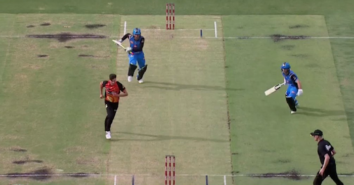 WATCH: Alex Carey gets run-out after comedy of errors during a Big Bash League match