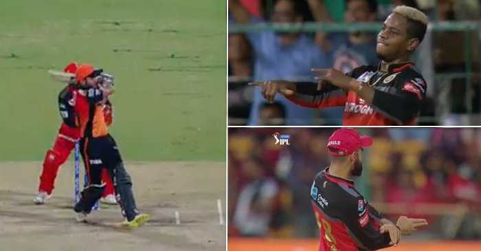 IPL 2019 – WATCH: Virat Kohli’s amazing reaction to Shimron Hetmyer’s celebration after Manish Pandey’s dismissal