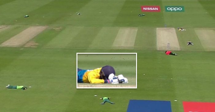 ICC World Cup 2019: Swarm of bees invades field during SL vs SA match; leave players ducking for cover