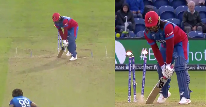 ICC World Cup 2019 – WATCH: Lasith Malinga bowls a toe-crushing yorker to dismiss Hamid Hassan