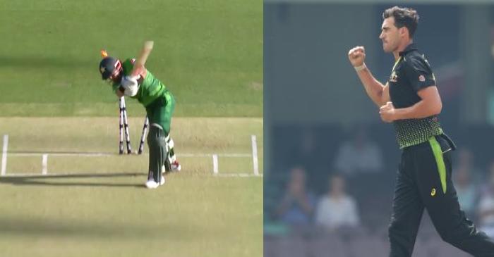 WATCH: Mitchell Starc rattles Mohammad Rizwan’s stumps with an absolute ripper in Perth T20I
