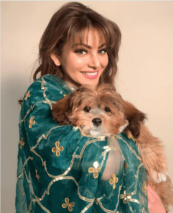 Urvashi Rautela with the puppy