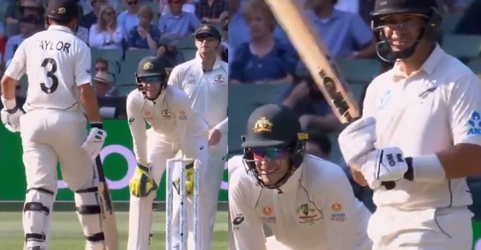 WATCH: Tim Paine hilariously sledges Ross Taylor during the Melbourne Test