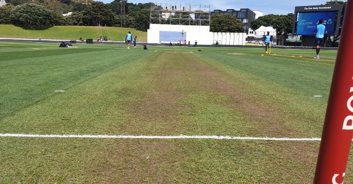 NZ vs IND: Netizens left worried after BCCI shares the picture of Wellington pitch