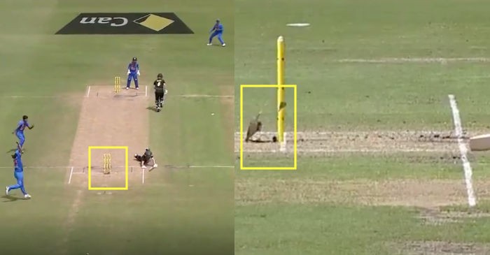WATCH: Stump mic saves Meg Lanning from run-out in Women’s tri-series final against India