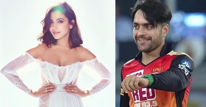Rashid Khan names his favourite Bollywood movie, actor and actresses