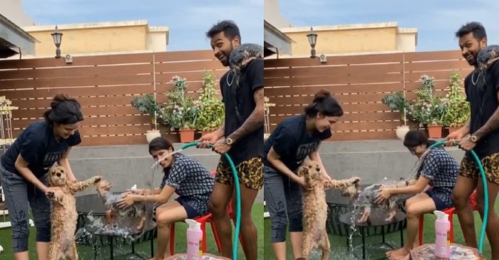 WATCH: Hardik Pandya-Natasa Stankovic’s video of bathing their pet dogs goes viral