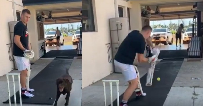 WATCH: Marnus Labuschagne begins practice in his backyard with a tennis ball