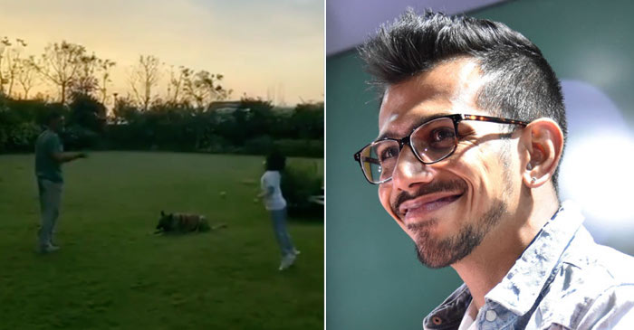 Yuzvendra Chahal reacts to Sakshi’s live Instagram video featuring MS Dhoni, Ziva and their pet dog