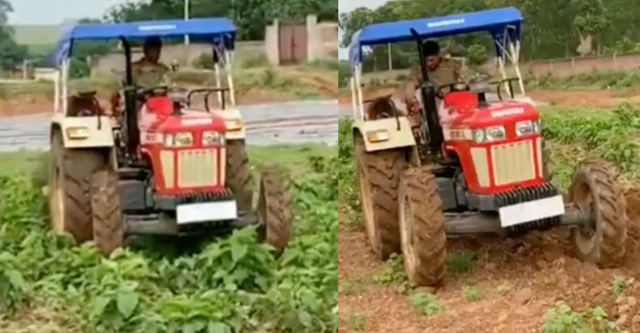 Fans left stunned to see MS Dhoni doing organic farming in his farmhouse – WATCH video