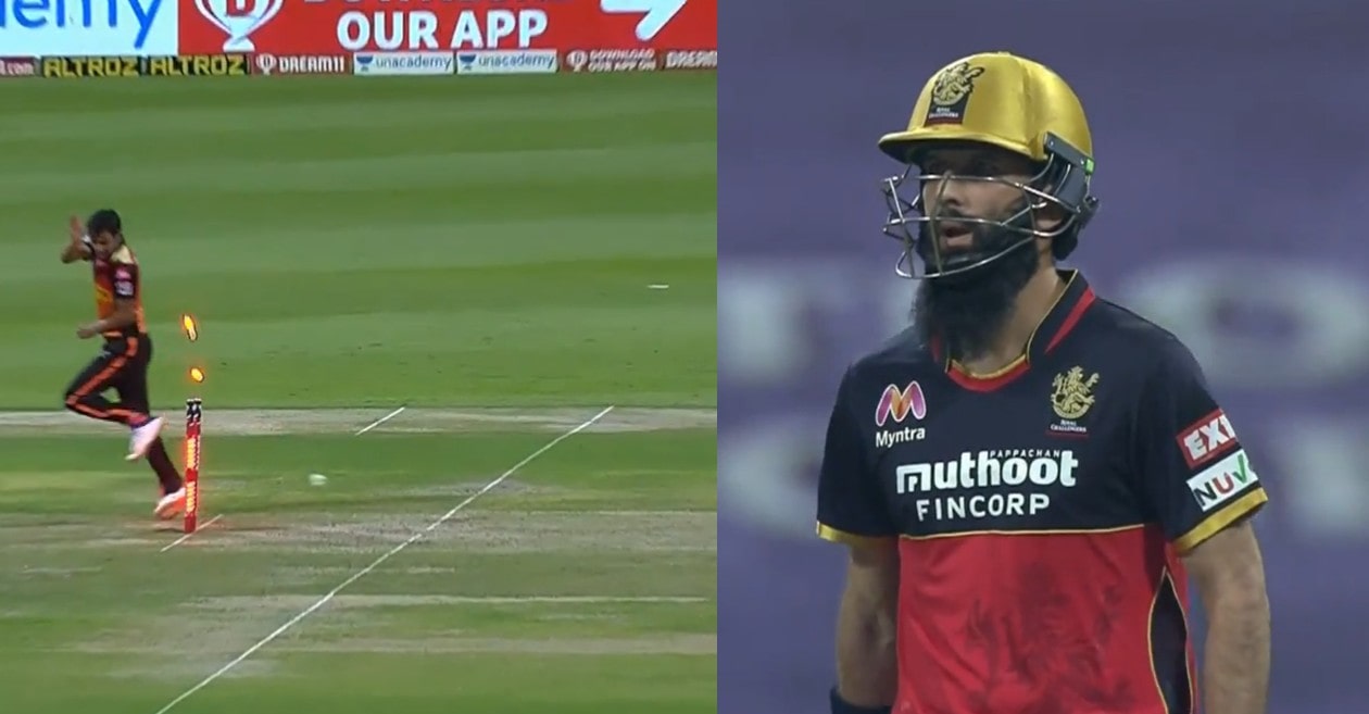 IPL 2020 – WATCH: RCB’s Moeen Ali gets run out off a free-hit against SRH; netizens go crazy