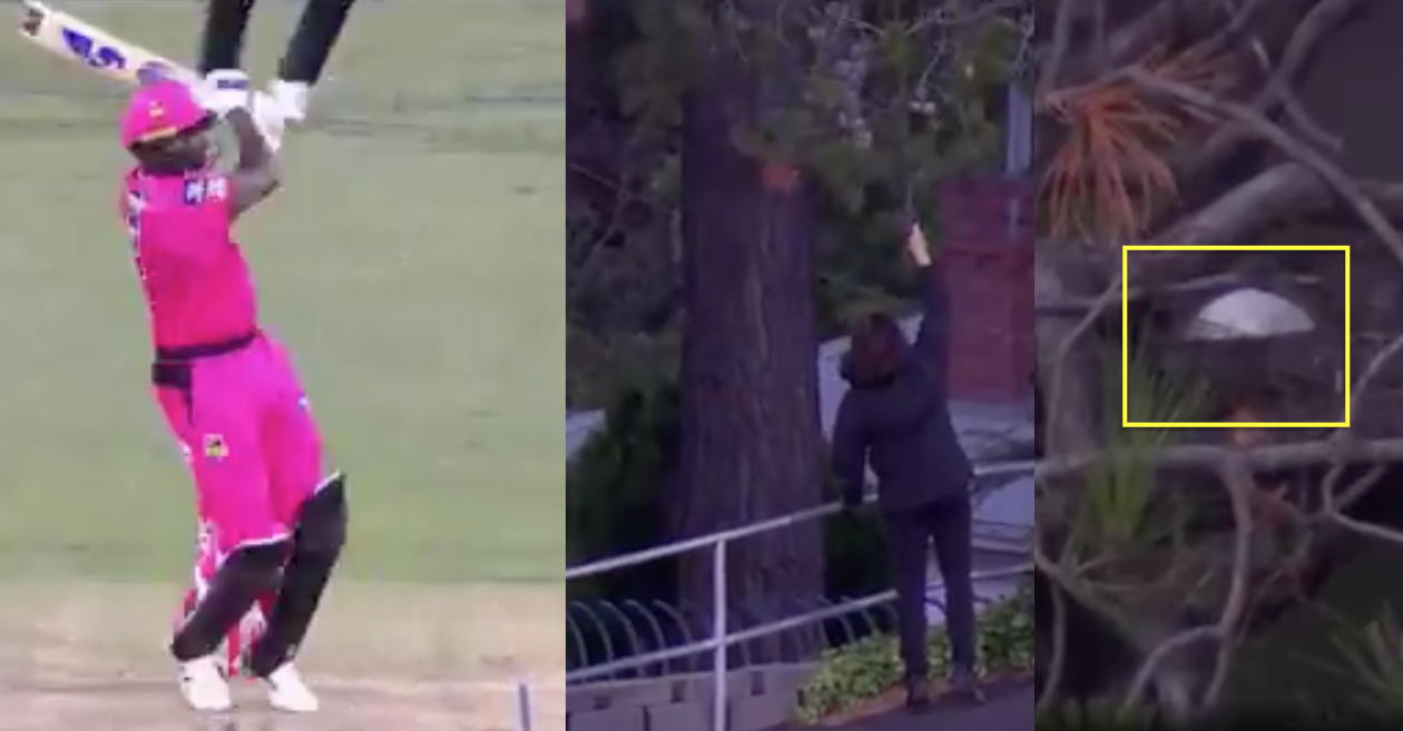 WATCH: Jason Holder hits a first-ball six on his BBL debut; ball gets stuck in a tree