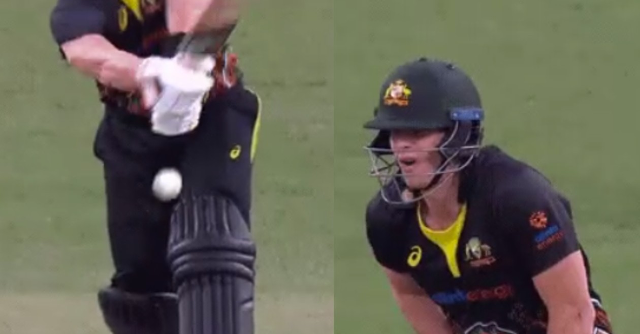 AUS vs IND: WATCH – Steve Smith gets hit on the box during the Sydney T20I