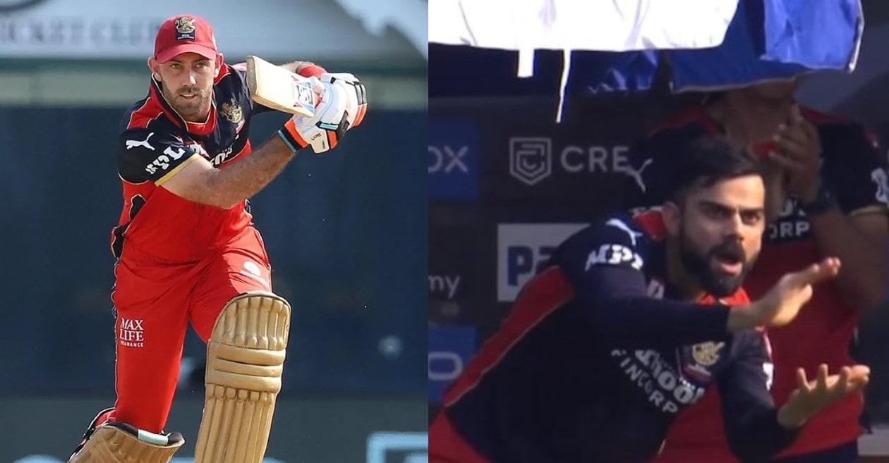 IPL 2021: WATCH – Virat Kohli’s animated celebration after Glenn Maxwell’s 28-ball 50 goes viral