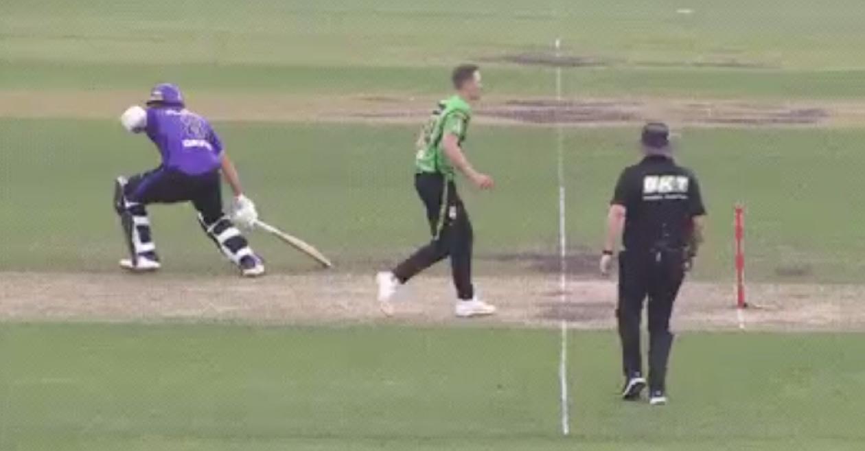 WATCH: Tim David’s hilarious ‘backyard cricket’ moment during a BBL clash against Melbourne Stars