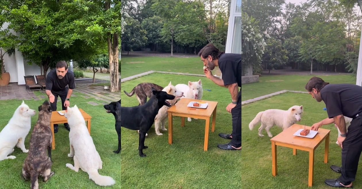 WATCH: MS Dhoni celebrates his 42nd birthday at farmhouse in Ranchi; enjoys the special day with pet dogs