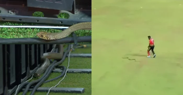 WATCH: Isuru Udana narrowly escapes a close on-field encounter with a snake during LPL 2023 match