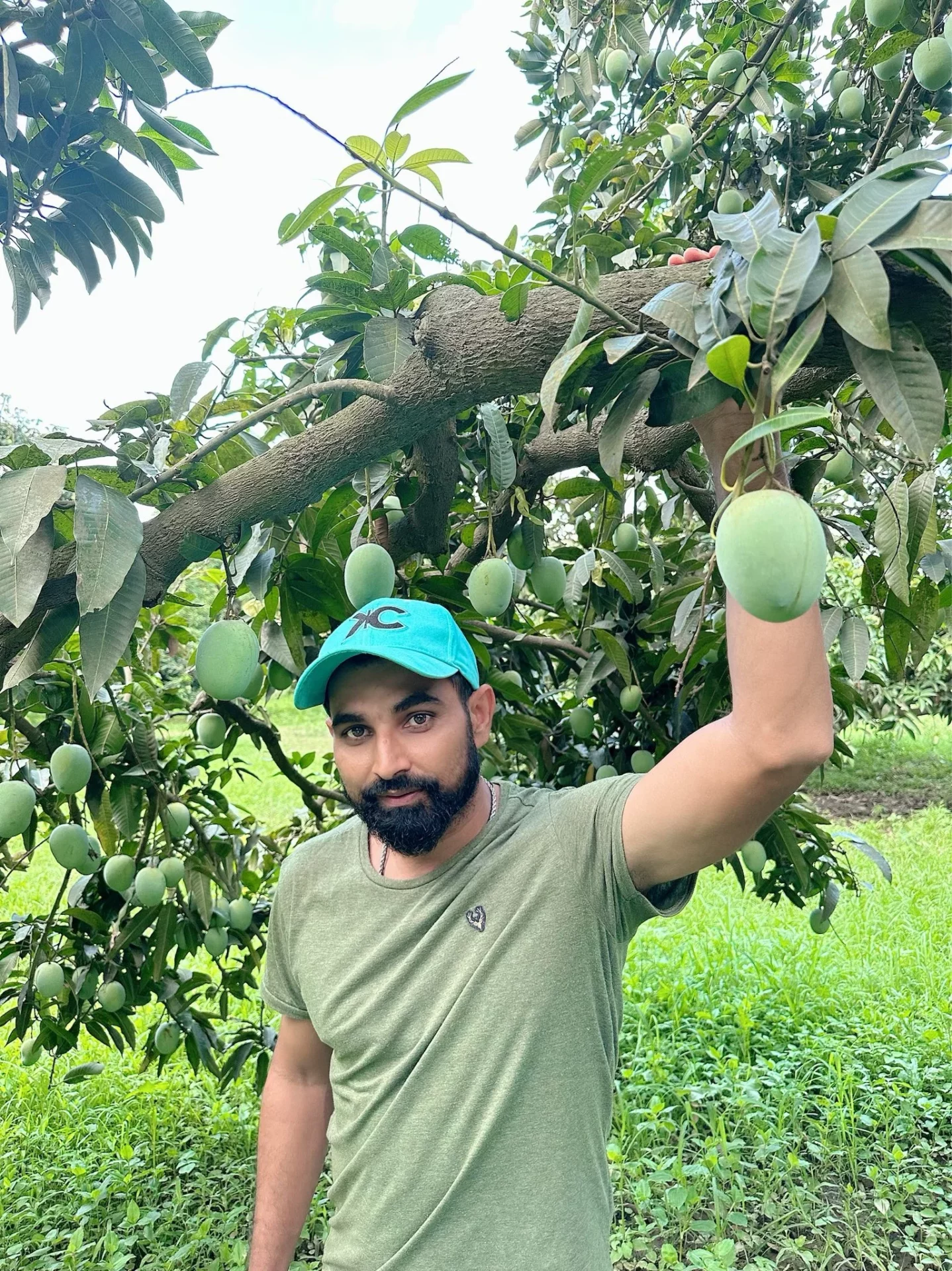Mohammed Shami's mango orchard