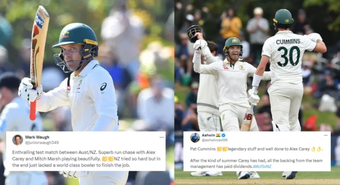Twitter reactions: Alex Carey, Pat Cummins and Mitchell Marsh lead Australia to a series whitewash over New Zealand