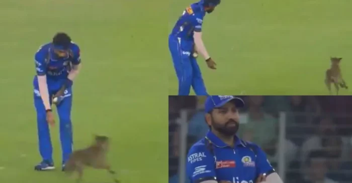 WATCH: Dog invades pitch during GT vs MI clash in IPL 2024; Hardik Pandya’s reaction goes viral