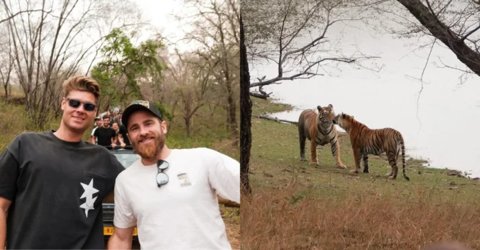 IPL 2024 [In pics]: Kane Williamson, Spencer Johnson and other GT cricketer visit Ranthambore National Park in Rajasthan