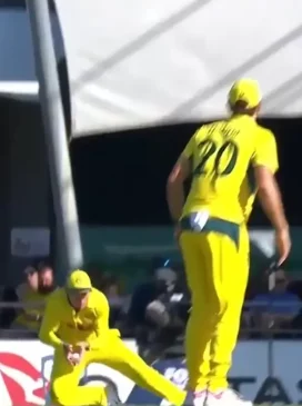 Marnus Labuschagne catch 4